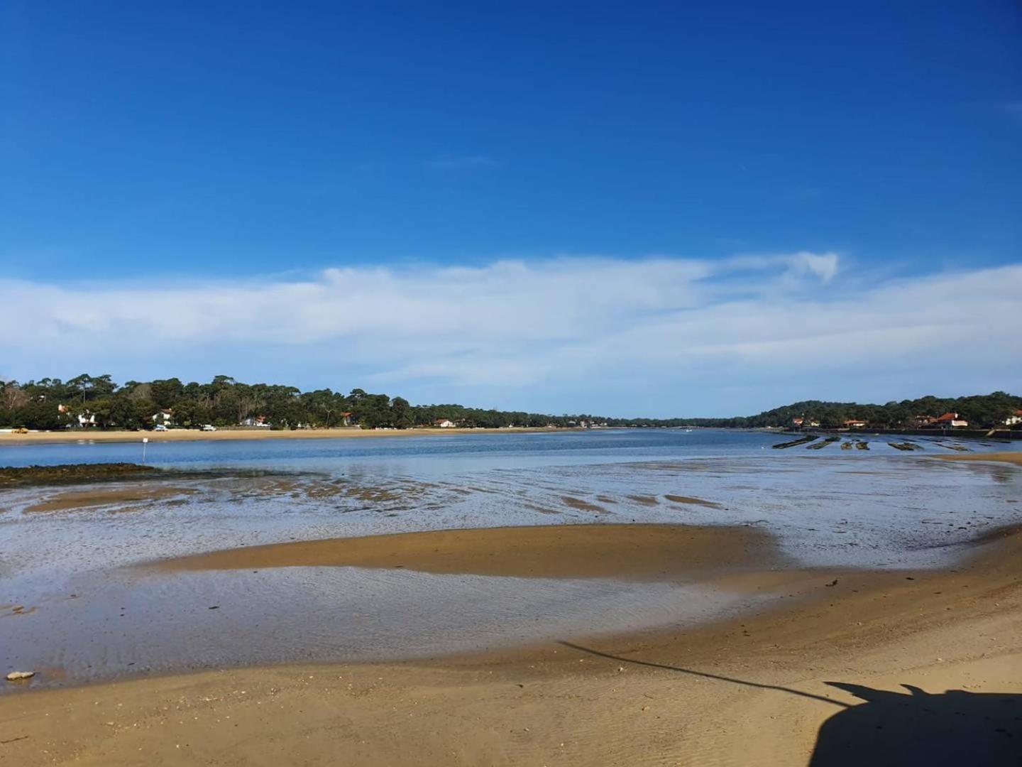 Terrasses Saint Georges - Un Emplacement Exceptionnel Au Centre-Ville Et Au Calme A Quelques Pas Du Lac Marin Soorts-Hossegor Luaran gambar